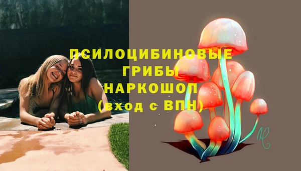 молекула духа Белоозёрский