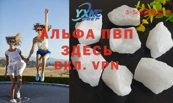 apvp Белокуриха