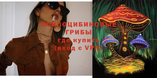 молекула духа Белоозёрский
