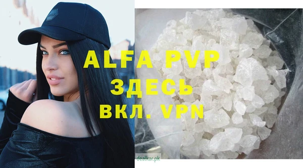 молекула духа Белоозёрский