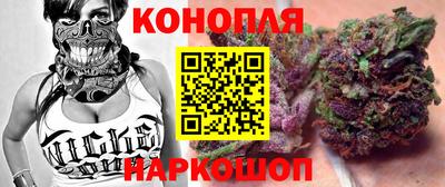 apvp Нальчик