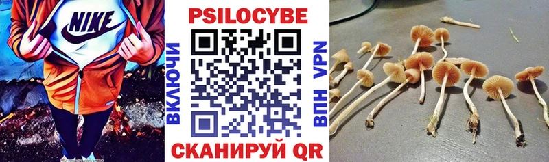 Галлюциногенные грибы GOLDEN TEACHER hydra зеркало Дагестанские Огни купить закладку