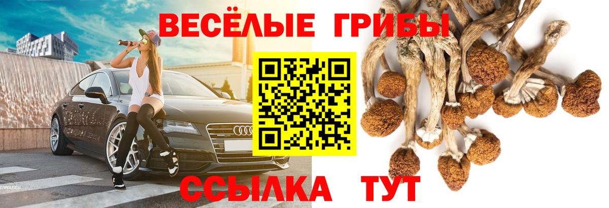 Псилоцибиновые грибы мицелий Дагестанские Огни
